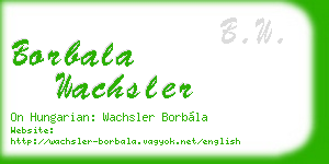 borbala wachsler business card